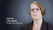 dr dottie laflamme bio image