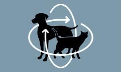 3D body conditioning cat and dog