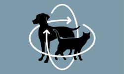 3D body conditioning cat and dog