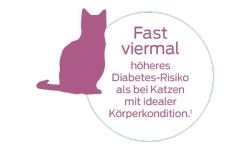 Fast viermal höheres Diabetes-Risiko als bei Katzen mit idealer Körperkondition.