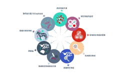 微生物群落基础图示