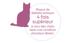 Risque de diabète presque quatre fois supérieur à celui des chats dans une condition physique idéale.