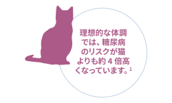 理想的な体型の猫より、糖尿病のリスクがほぼ 4 倍高くなっています。