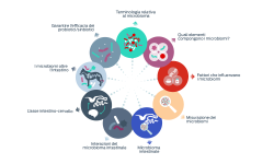 icone nozioni di base microbioma