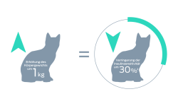 1 kg Zunahme des Körpergewichts = 30% Abnahme der Insulinsensitivität