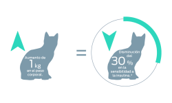 1 kg de aumento de peso corporal = 30 % de disminución de la sensibilidad a la insulina