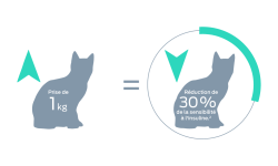 Augmentation de 1 kg du poids corporel = diminution de 30 % de la sensibilité à l’insuline