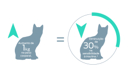 1 kg de aumento do peso corporal=30% de redução na sensibilidade à insulina