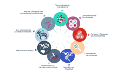 Icônes notions de base sur le microbiome