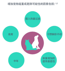 增加宠物超重或肥胖可能性的因素包括:<sup>1,2.</sup>年龄、绝育、卡路里摄入过多、久坐不动的生活方式、体重增加的遗传倾向。