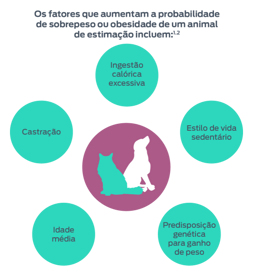 Os fatores que aumentam a probabilidade de sobrepeso ou obesidade de um animal de estimação incluem: 1,2. Idade, castrações, ingestão excessiva de calorias, estilo de vida sedentário, predisposição genética para ganhar peso.