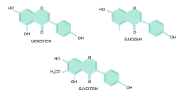 Chemische Zusammensetzung der Soja-Isoflavone. Genistein (C15H10O5), Daidzein (C15H10O4), Glycitein (C16H12O5)