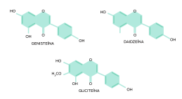 Composición química de las isoflavonas de soya. Genisteina (C15H10O5), daidzeína (C15H10O4) y gliciteína (C16H12O5)