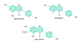 Composizione chimica degli isoflavoni di soia. Genisteina (C15H10O5), Daidzeina (C15H10O4), Gliciteina (C16H12O5)