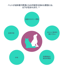 ペットが過体重や肥満になる可能性を高める要因には、以下が含まれます。1,2.年齢、去勢手術、過度のカロリー摂取、ほとんど身体を動かさない生活、体重増加の遺伝的素因。