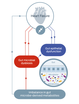 heart failure diagram