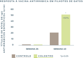 raiva-vacina-em-gatinhos-imunidade-colostro