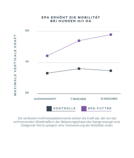 epa-erhöht-mobilität-bei-hunden