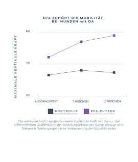 epa-erhöht-mobilität-bei-hunden