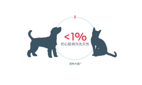 < 1% 的混种狗和猫心脏病是先天性的