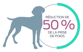 Réduction de 50 % de la prise de poids