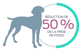 Réduction de 50 % de la prise de poids