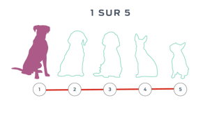 Silhouettes de cinq chiens, l'une d'entre elles étant remplie.