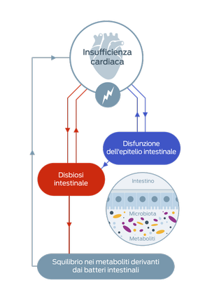 Insufficienza cardiaca