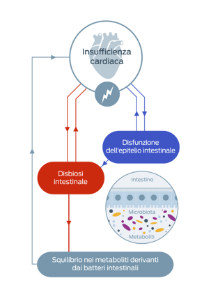 Insufficienza cardiaca