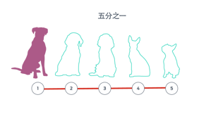 五只犬的轮廓图依次排列,其中一个轮廓图填充了颜色。