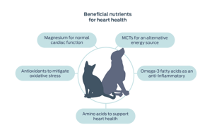 beneficial nutrients for heart health graphic