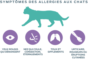 neutralisation-allergènes-symptômes-allergies-aux-chats
