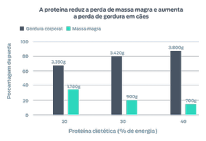 A proteína reduz a perda de MCM e aumenta a perda de gordura em cães. Este gráfico mostra o percentual de perda (gordura corporal e massa corporal magra) vs. o percentual de proteína dietética na dieta. 20% de proteína dietética apresentaram perda de 3.350 g de gordura corporal e 1.700 g de MCM. 30% de proteína dietética apresentaram perda de 3.420 g de gordura corporal e 900 g de MCM. 39% de proteína dietética apresentaram perda de 3.800 g de gordura corporal e 700 g de MCM.