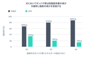 犬においてタンパク質は LBM 減少を緩和し、脂肪の減