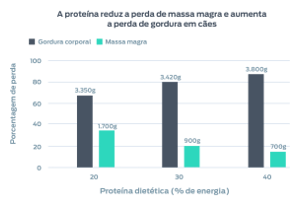 A proteína reduz a perda de MCM e aumenta a perda de gordura em cães. Este gráfico mostra o percentual de perda (gordura corporal e massa corporal magra) vs. o percentual de proteína dietética na dieta. 20% de proteína dietética apresentaram perda de 3.350 g de gordura corporal e 1.700 g de MCM. 30% de proteína dietética apresentaram perda de 3.420 g de gordura corporal e 900 g de MCM. 39% de proteína dietética apresentaram perda de 3.800 g de gordura corporal e 700 g de MCM.