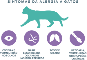 neutralizando-alergênios-sintomas-de-alergias-a-gatos