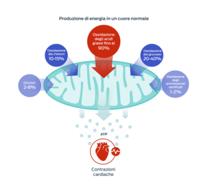 grafico degli acidi grassi