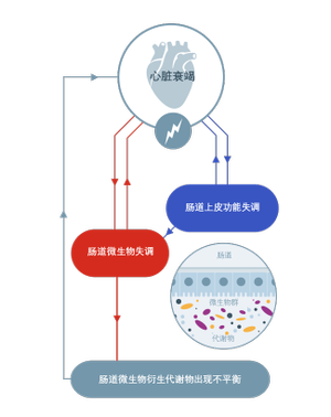 心力衰竭图