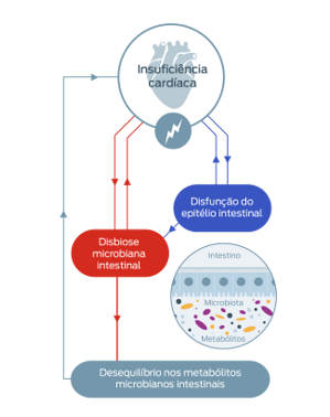 insuficiencia cardiaca