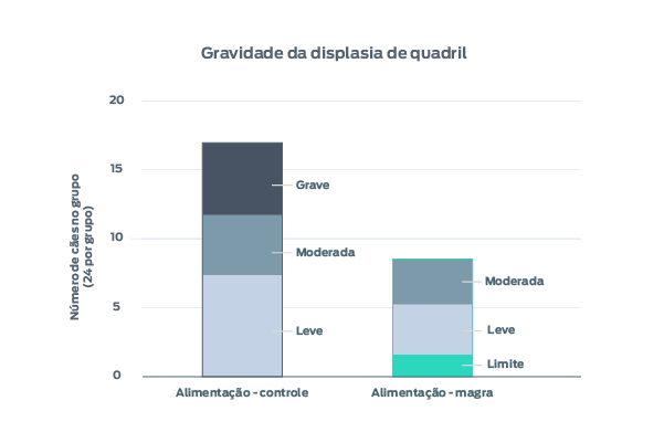 gravidade da displasia de quadril em cães