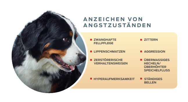anzeichen-von-angstzuständen