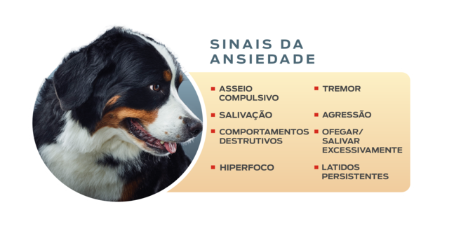 sinais de ansiedade