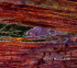 tecido muscular