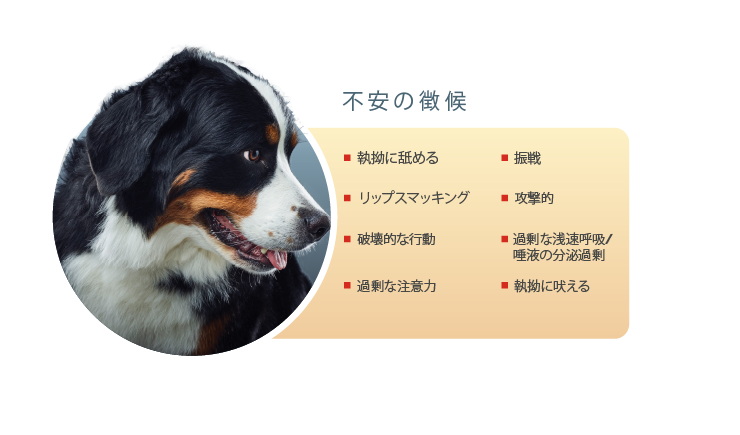 不安の徴候