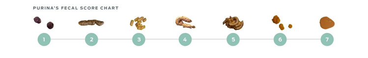 fecal-chart
