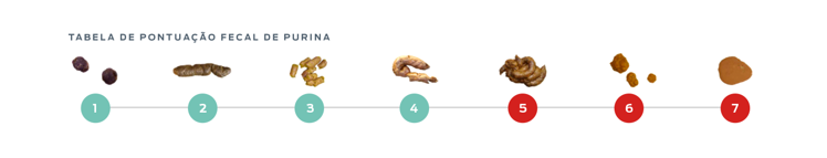 gráfico fecal