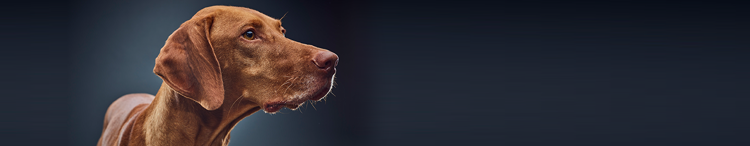 Verhaltensweisen, die mit dem Alter einhergehen