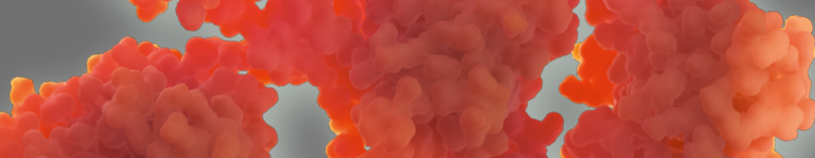 immunität-kolostrum