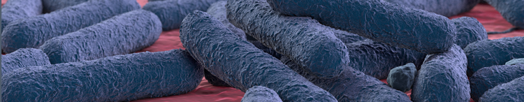 Probióticos Clostridium