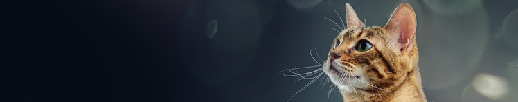 ricerca sugli allergeni neutralizzanti purina